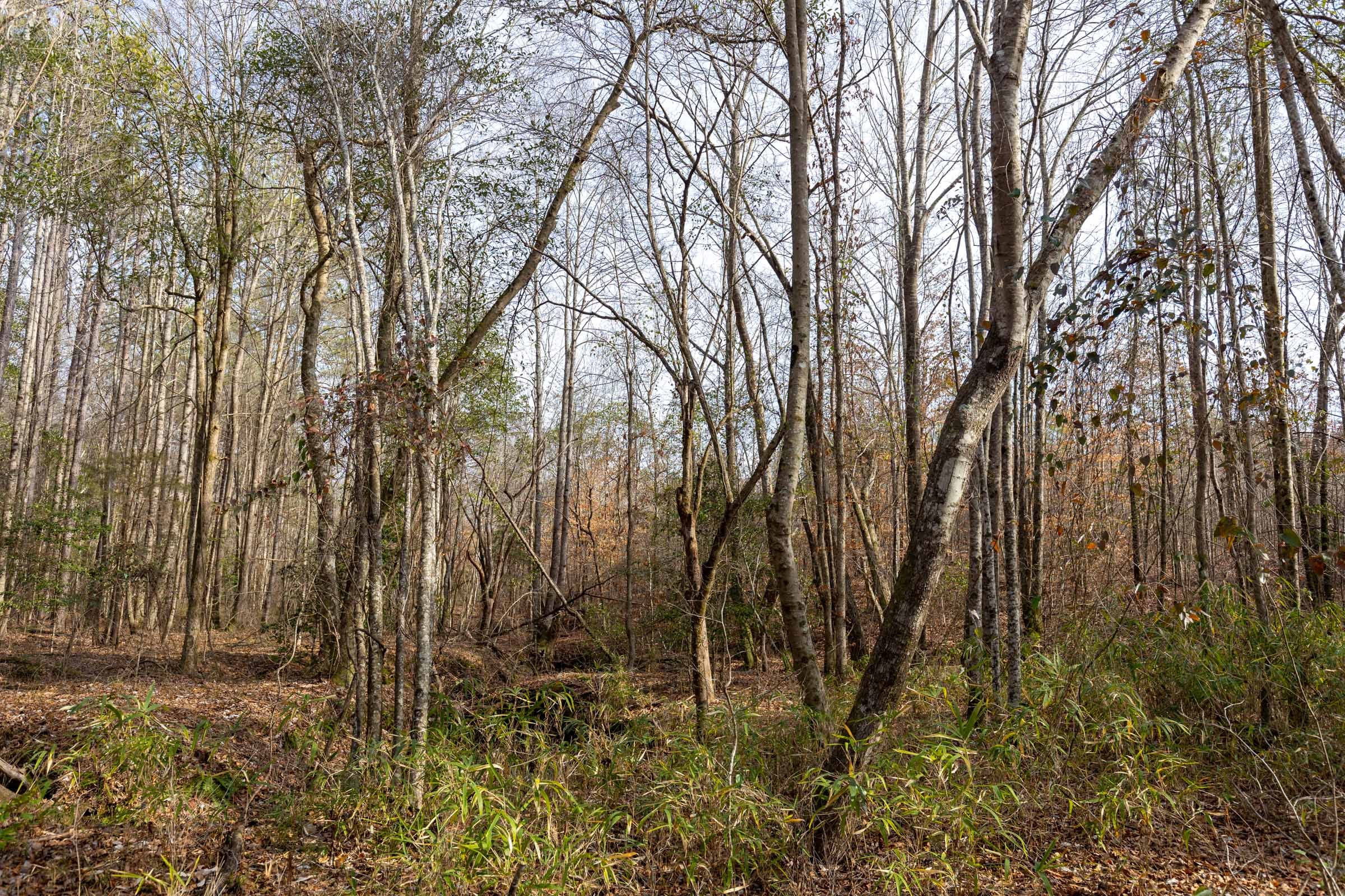 Baker Creek Tract 10 photo 1