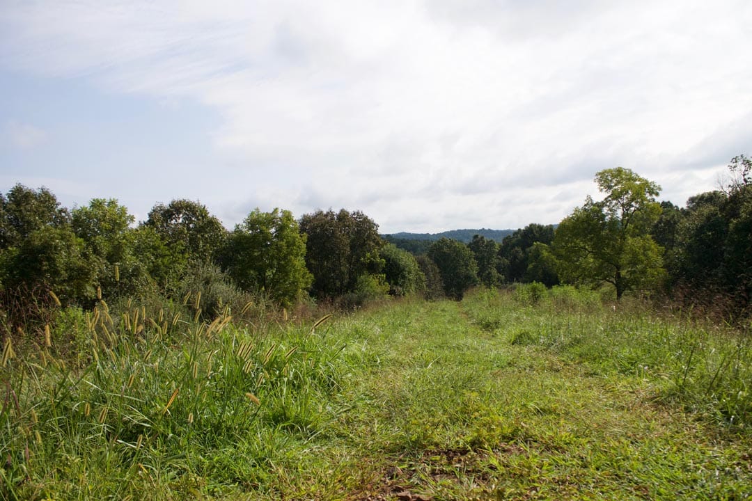 Heritage Hollow Tract 24 photo 2