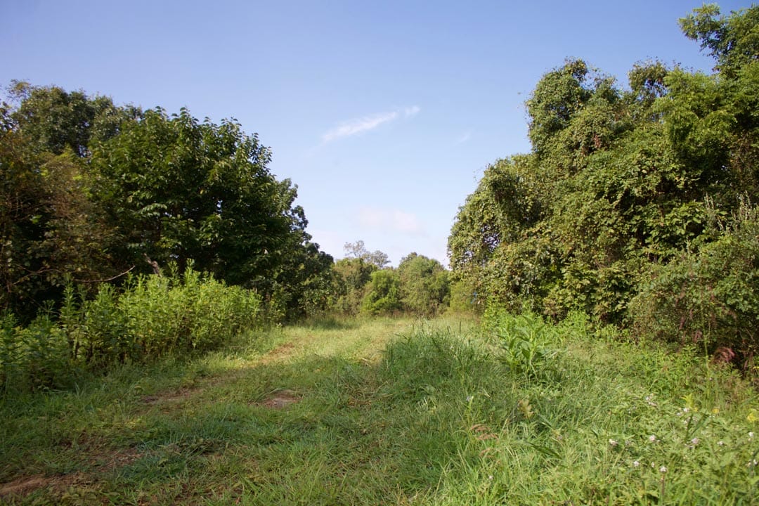 Heritage Hollow Tract 24 photo 7