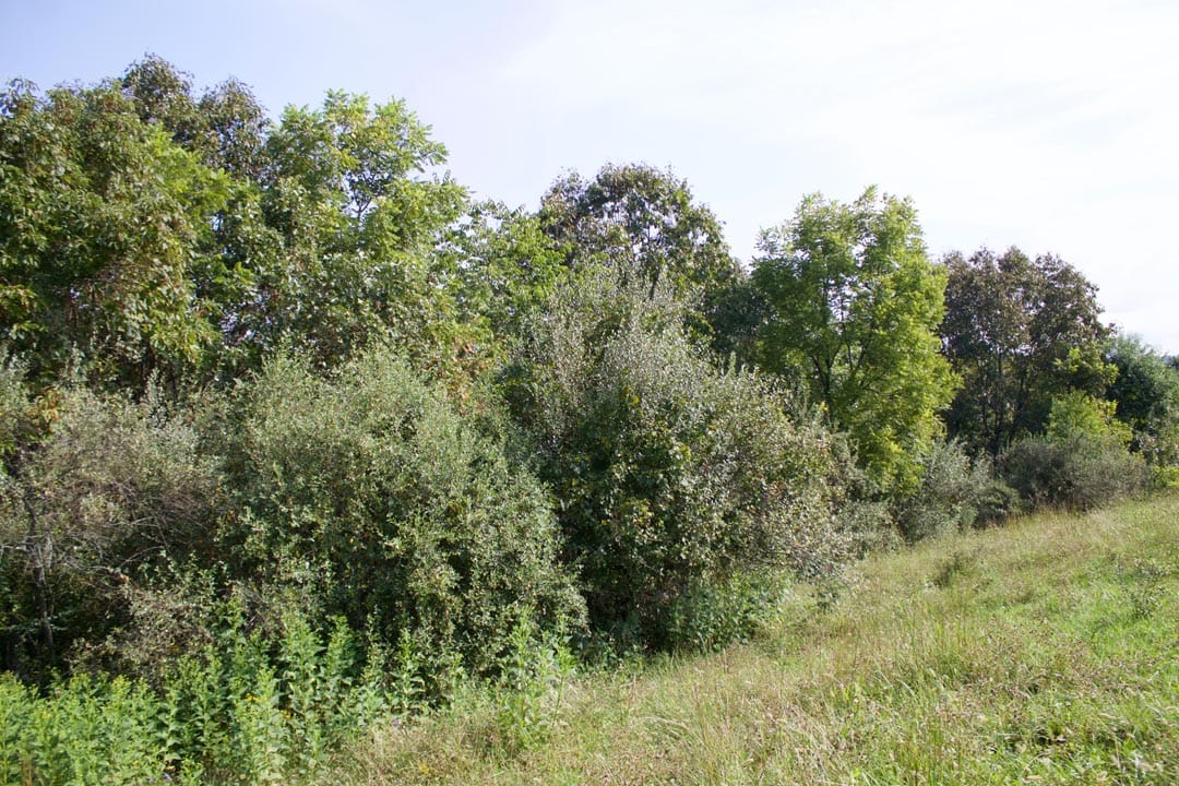 Heritage Hollow Tract 24 photo 11