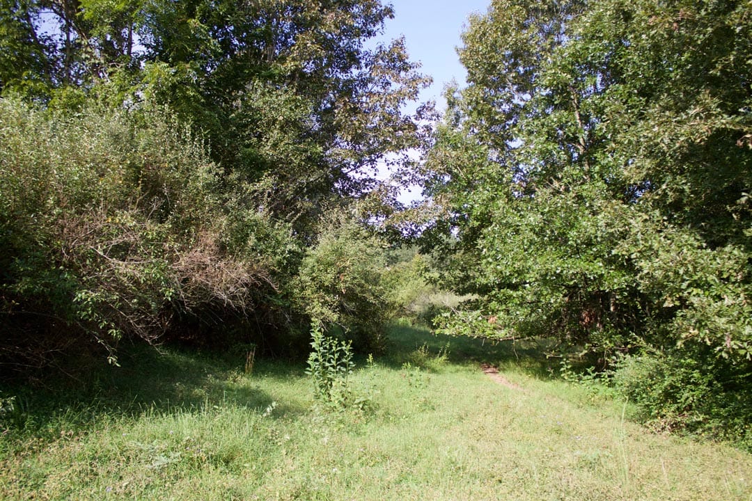 Heritage Hollow Tract 24 photo 12