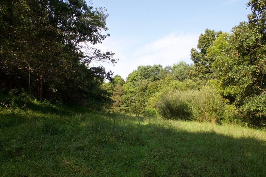 Heritage Hollow Tract 24 photo 13