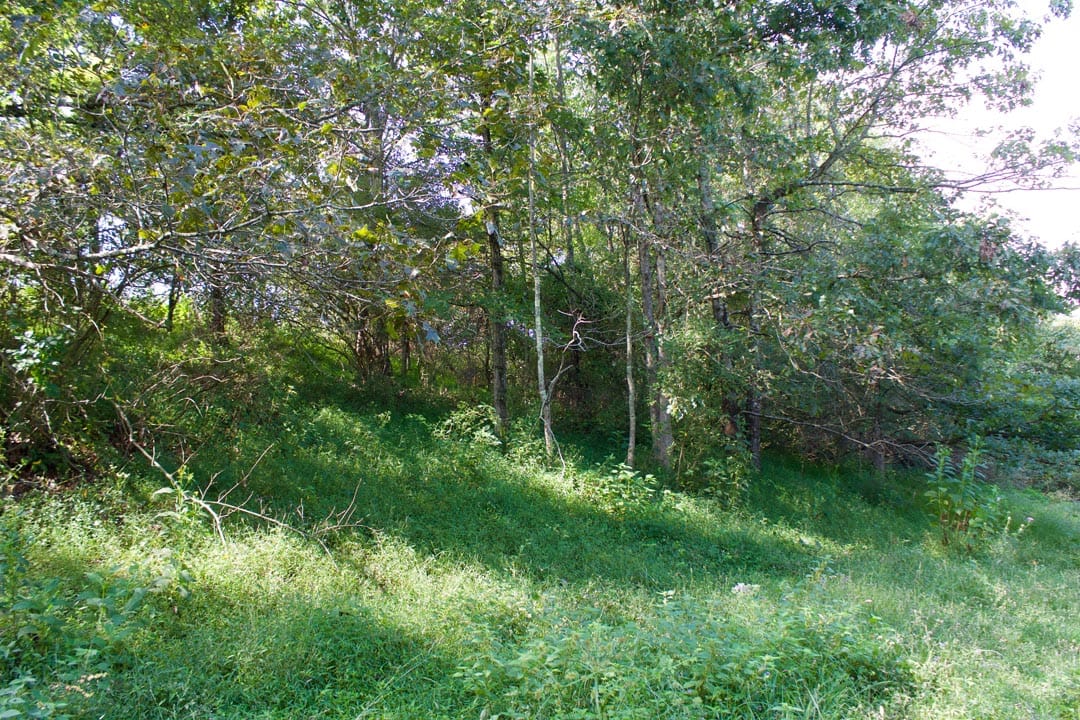 Heritage Hollow Tract 24 photo 15