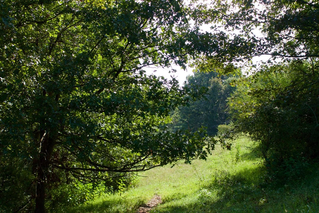Heritage Hollow Tract 24 photo 16