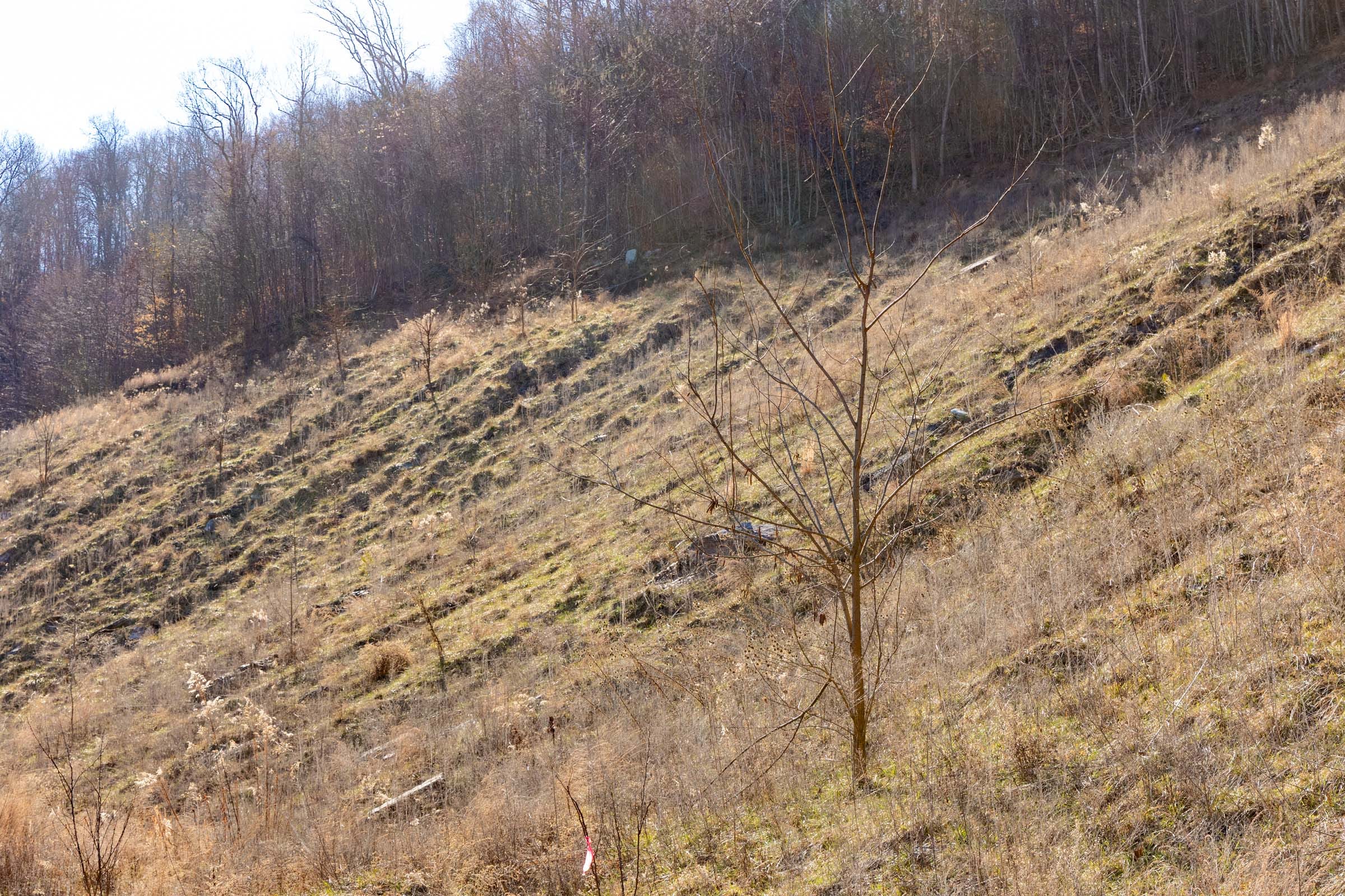 Jade Pass Tract 7 photo 4