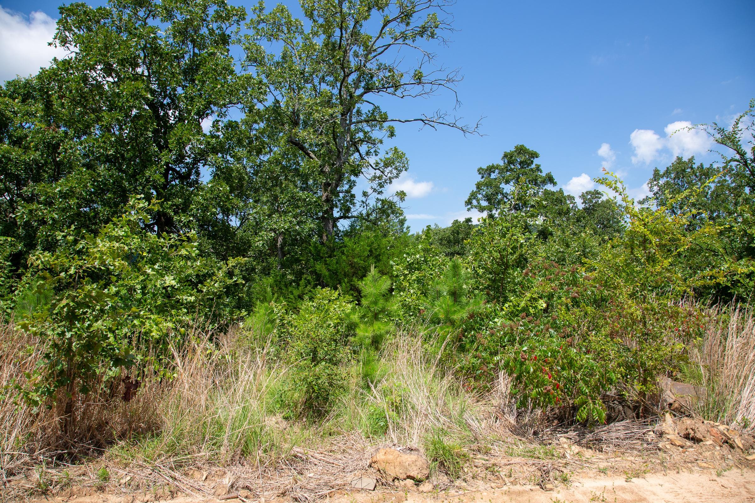 Tyler Stone Ranch Tract 28 photo 4