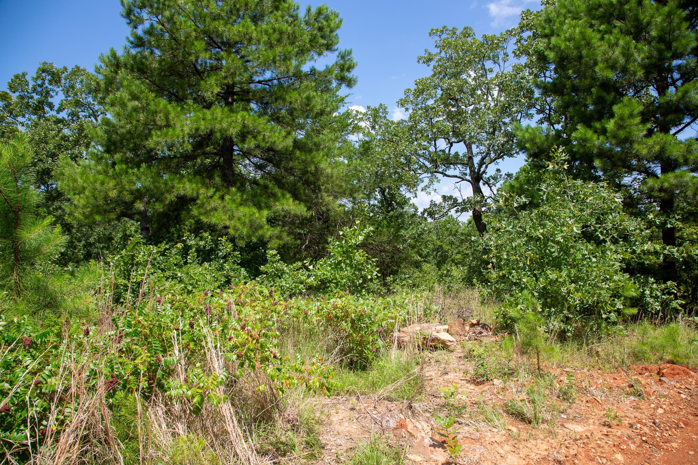 Tyler Stone Ranch Tract 28 photo 6