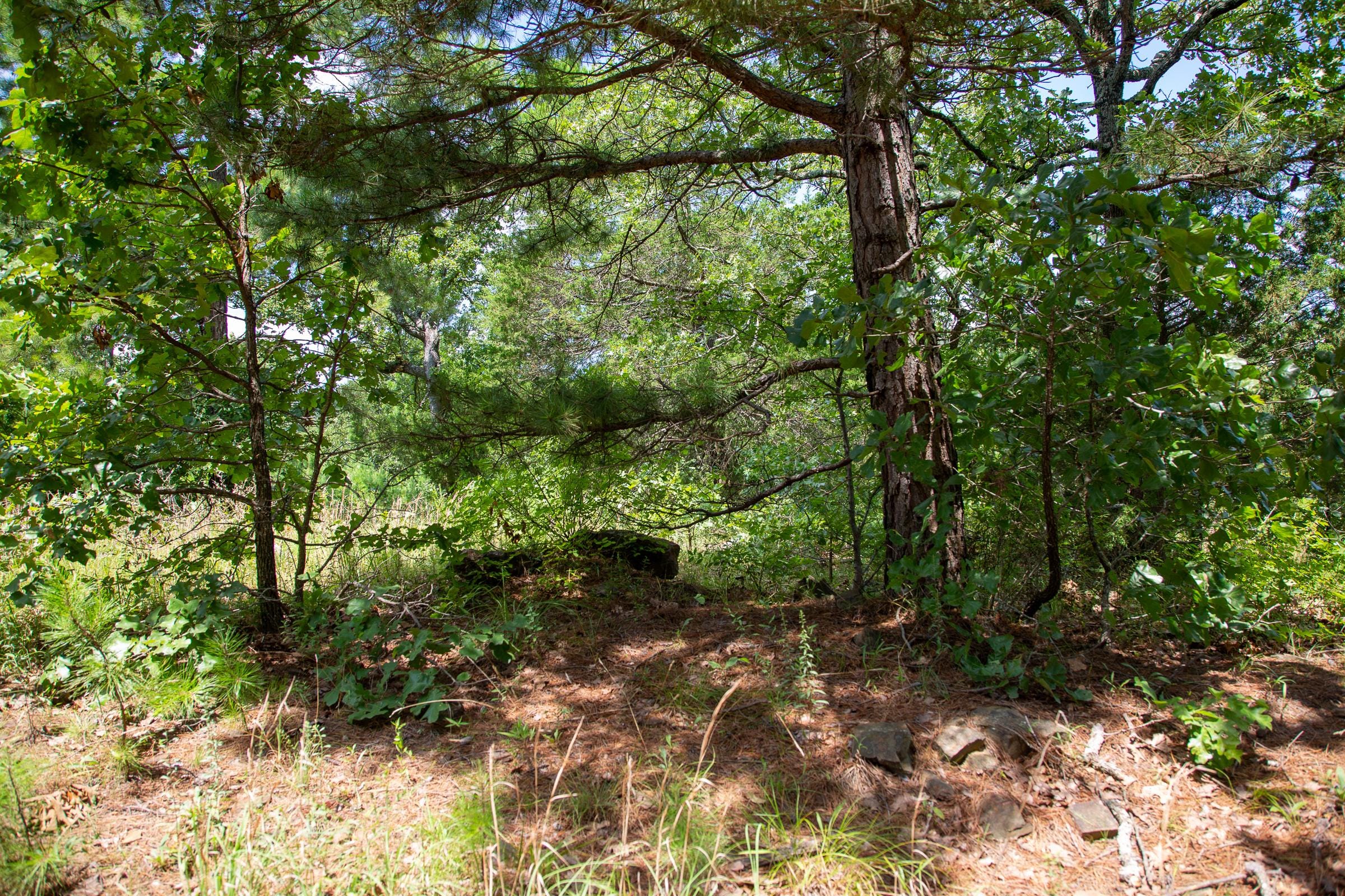 Tyler Stone Ranch Tract 28 photo 7