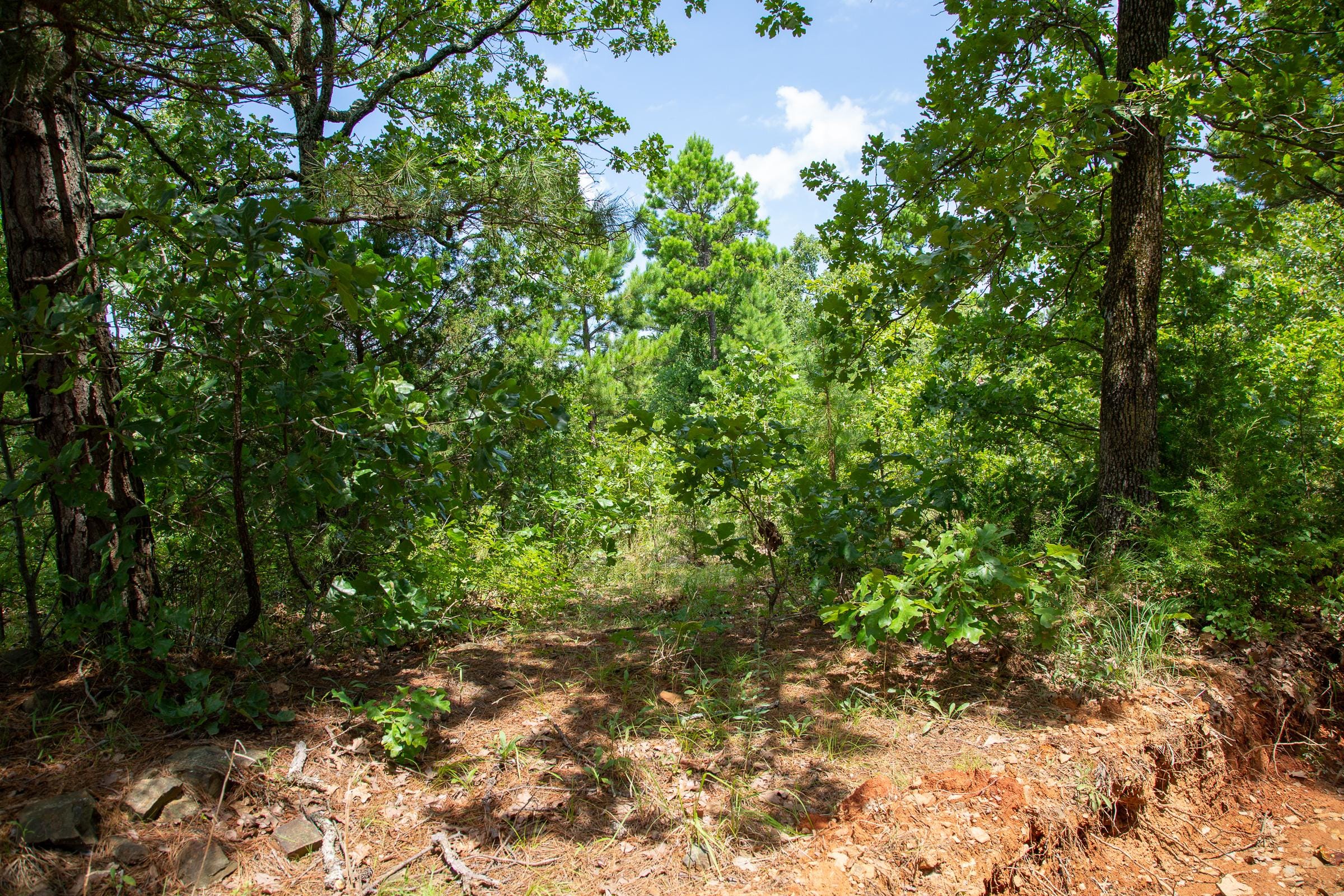 Tyler Stone Ranch Tract 28 photo 8