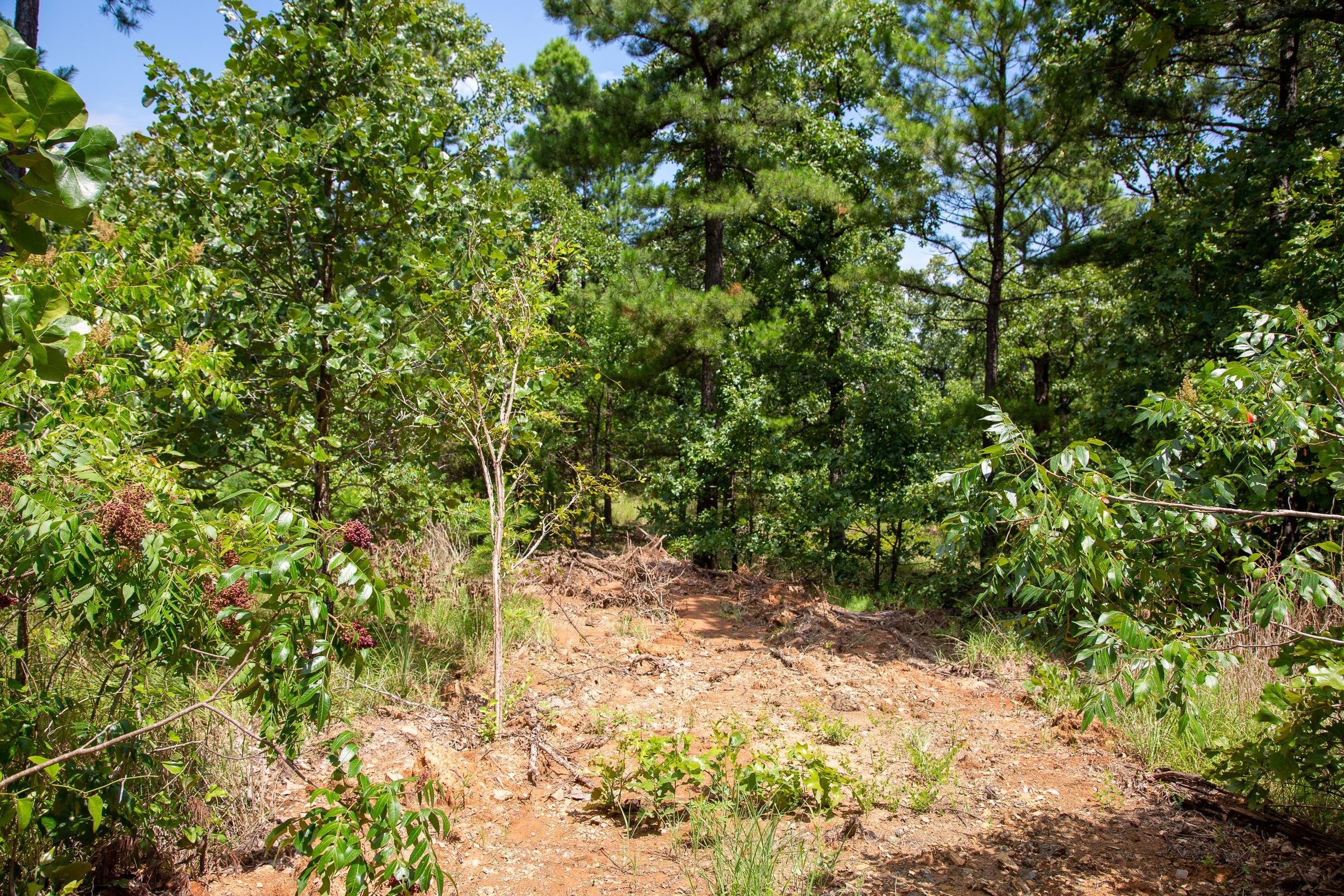 Tyler Stone Ranch Tract 28 photo 9