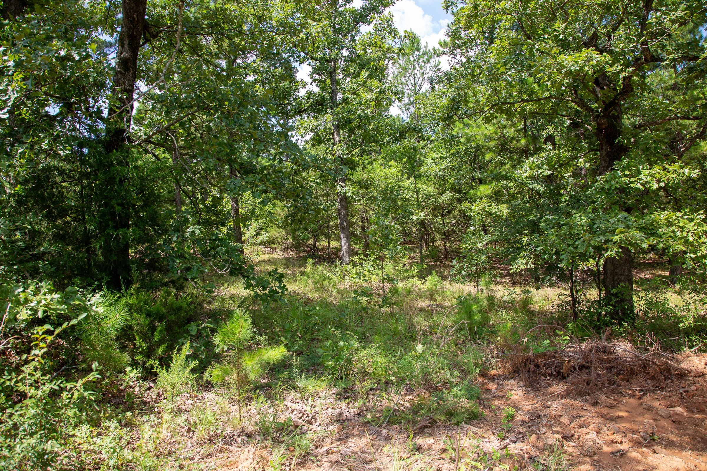 Tyler Stone Ranch Tract 28 photo 11