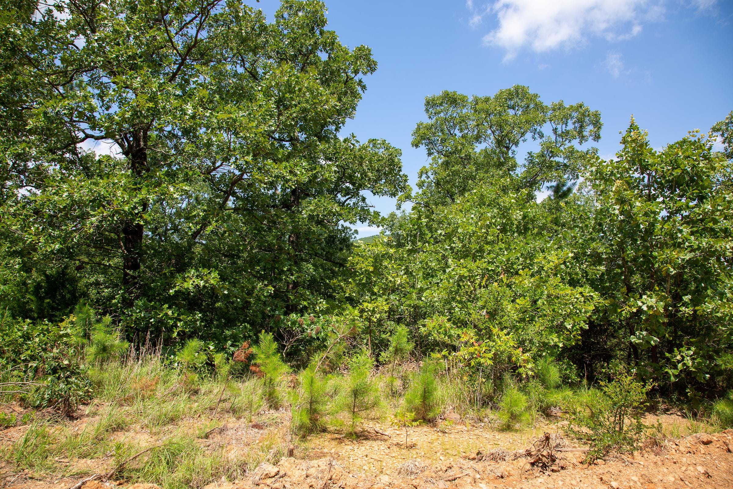 Tyler Stone Ranch Tract 28 photo 13