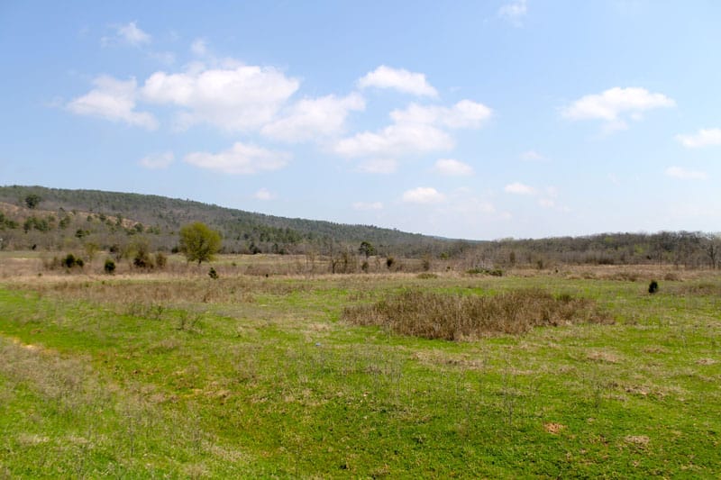 Daisy Meadows Tract 10 photo 2