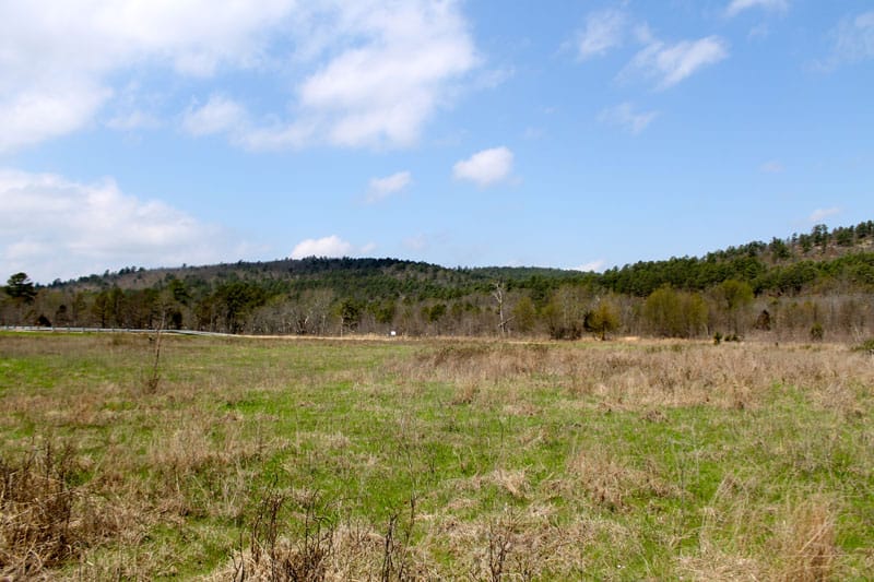 Daisy Meadows Tract 10 photo 10