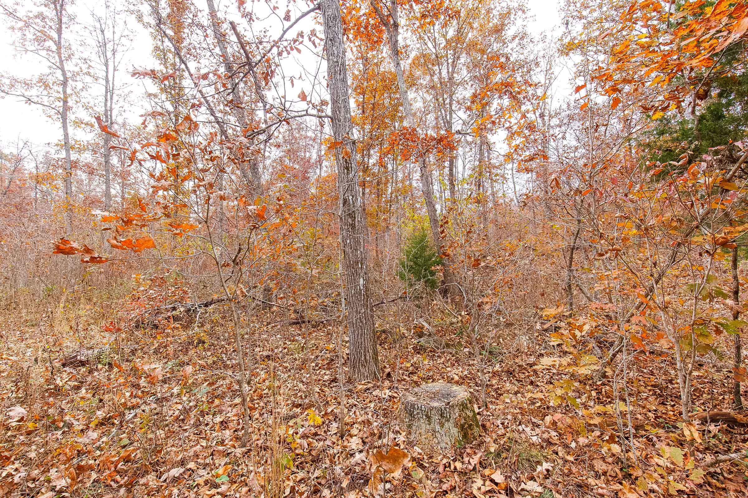 Hawkcrest Tract 4 photo 6