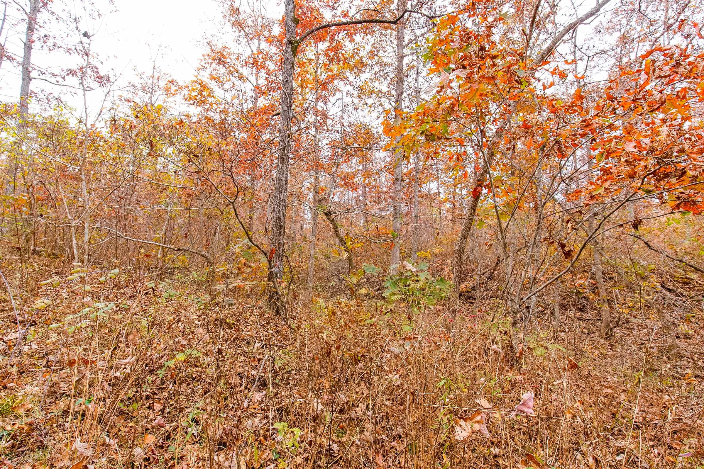 Hawkcrest Tract 4 photo 9
