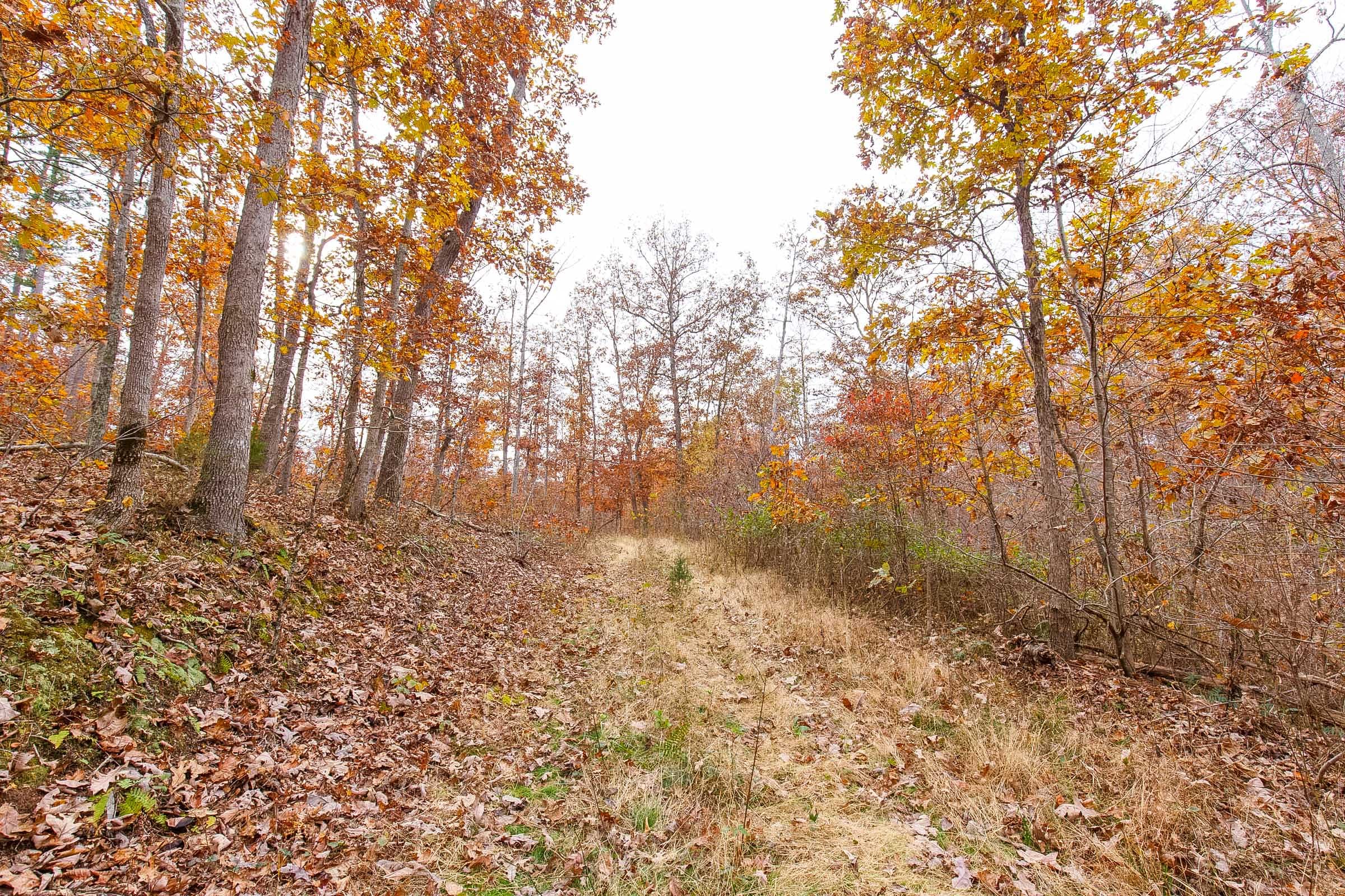 Hawkcrest Tract 4 photo 1