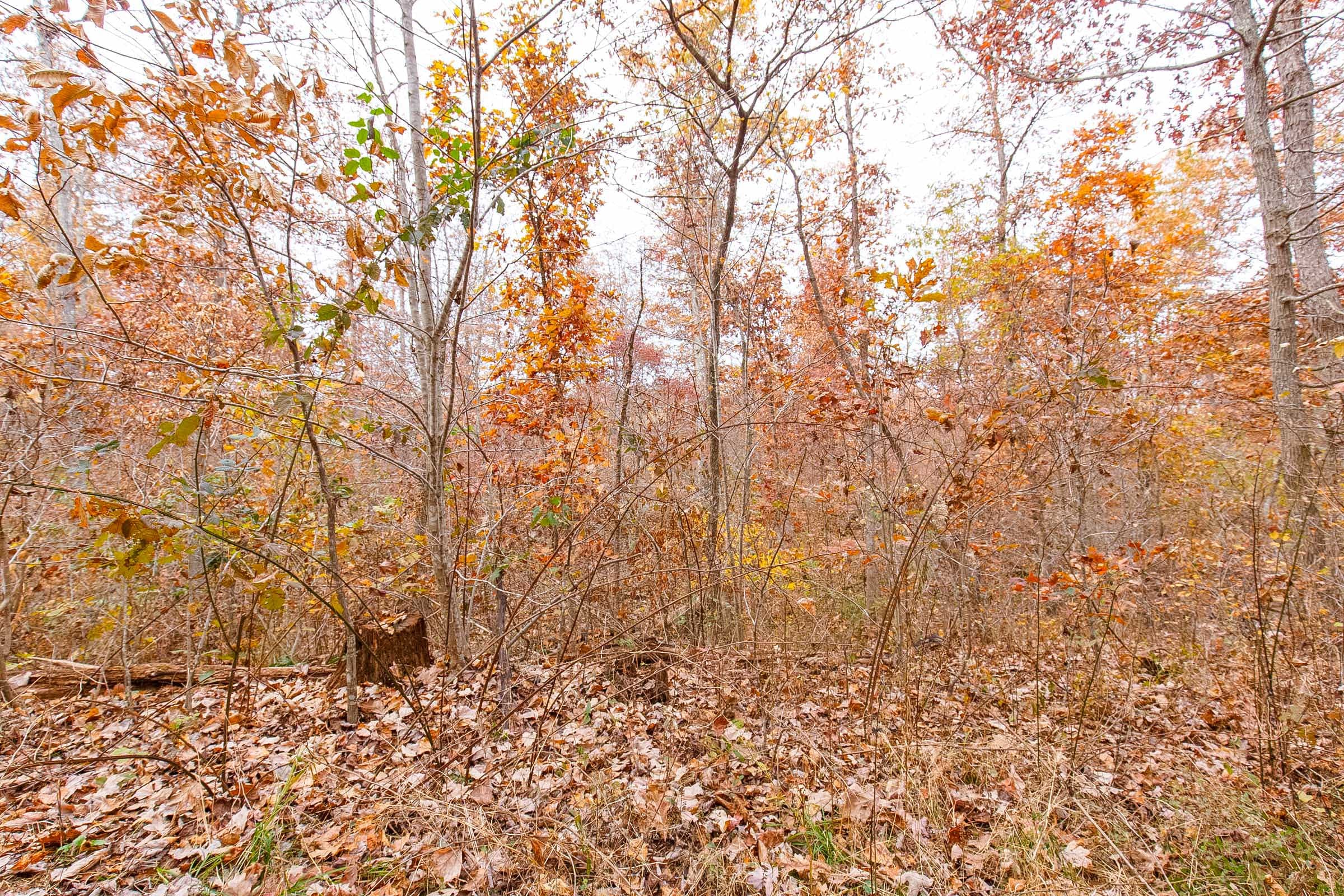 Hawkcrest Tract 4 photo 10