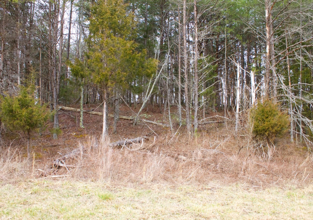 Majestic Rock Ranch Tract 9 photo 1