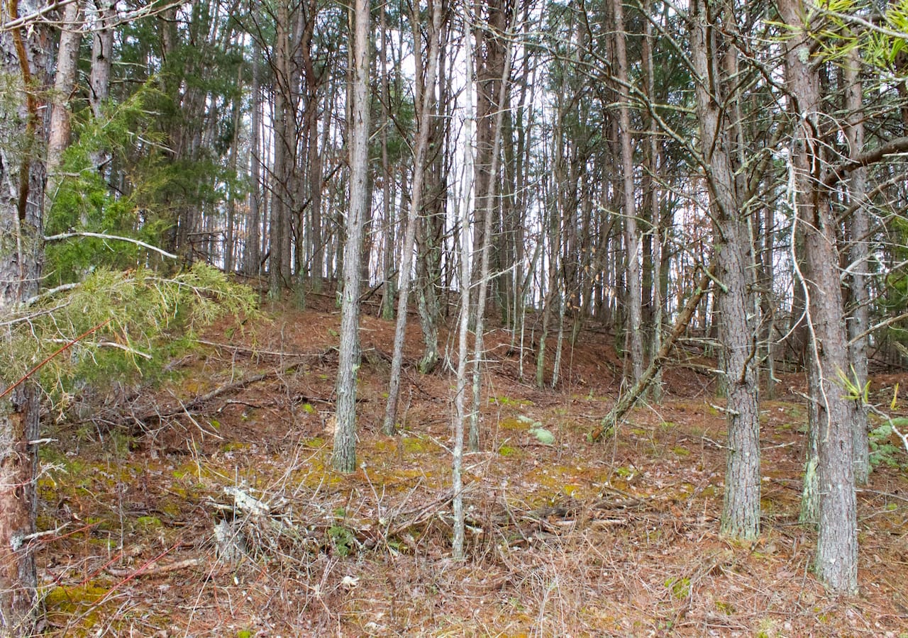 Majestic Rock Ranch Tract 9 photo 2