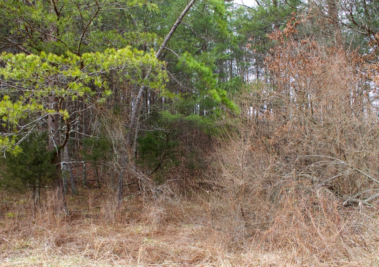 Majestic Rock Ranch Tract 9 photo 4