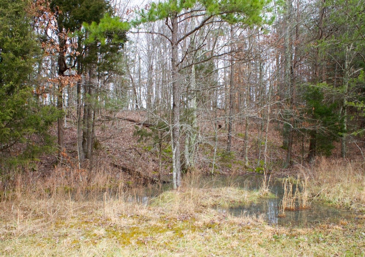 Majestic Rock Ranch Tract 9 photo 5