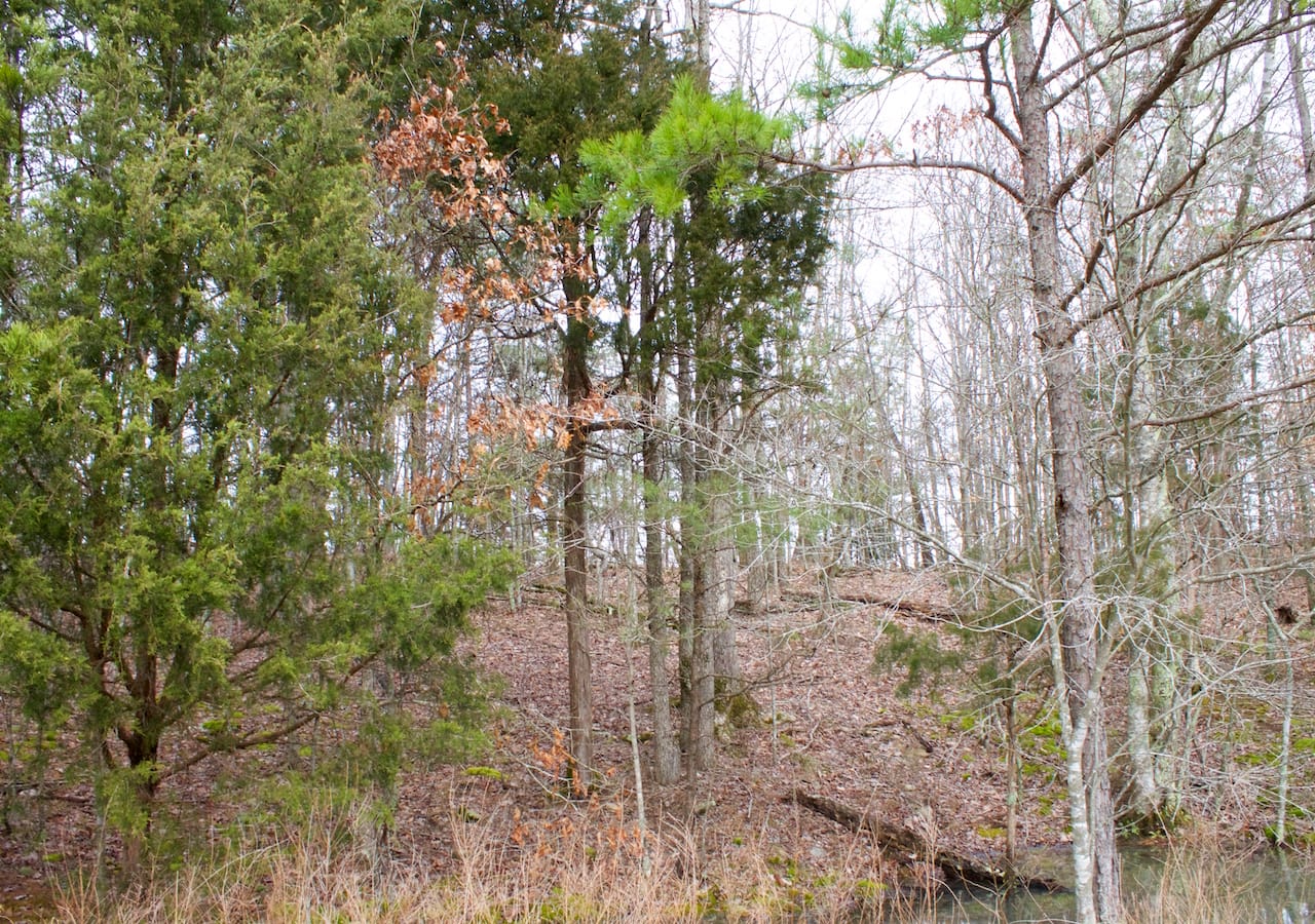 Majestic Rock Ranch Tract 9 photo 6