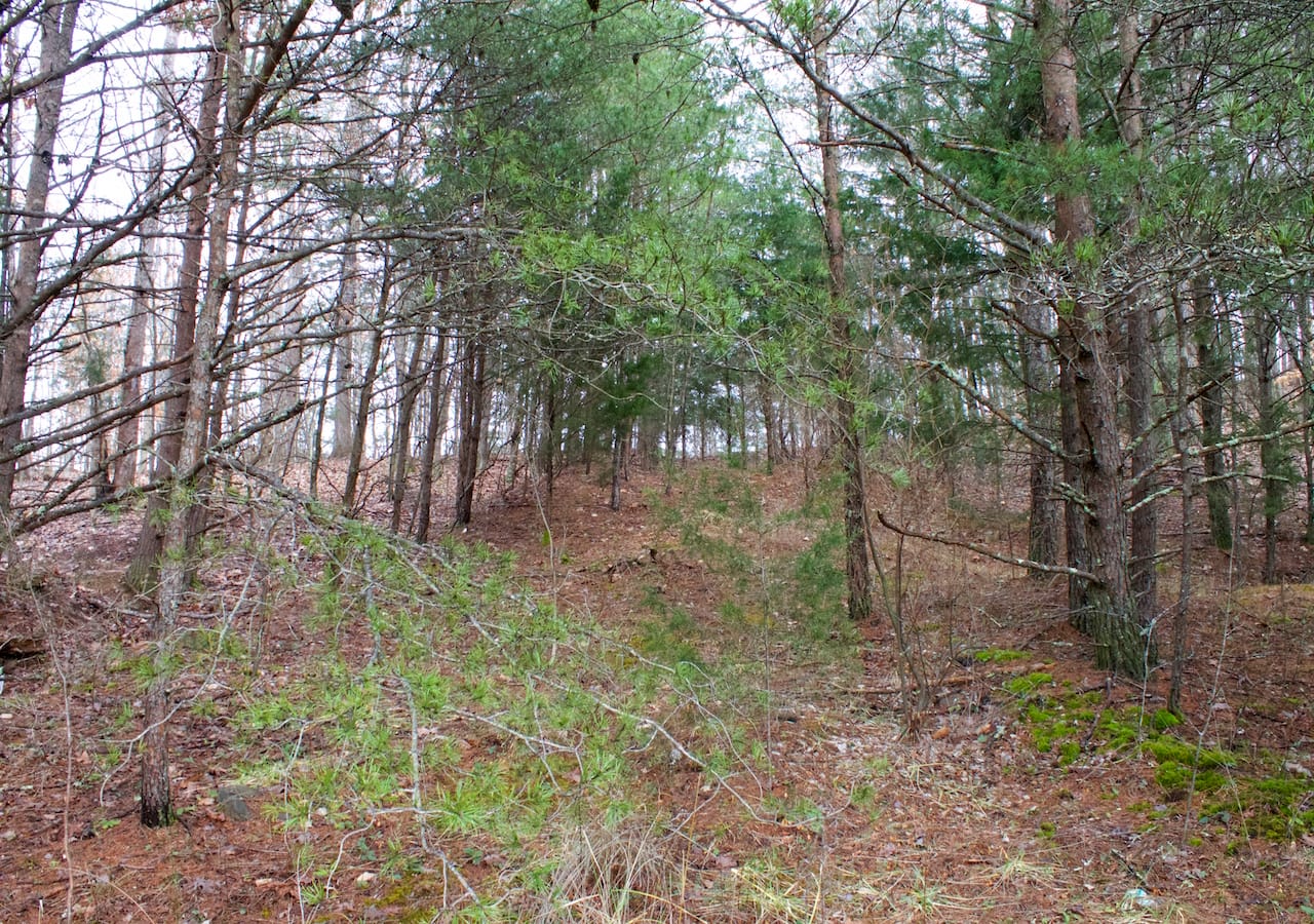 Majestic Rock Ranch Tract 9 photo 7