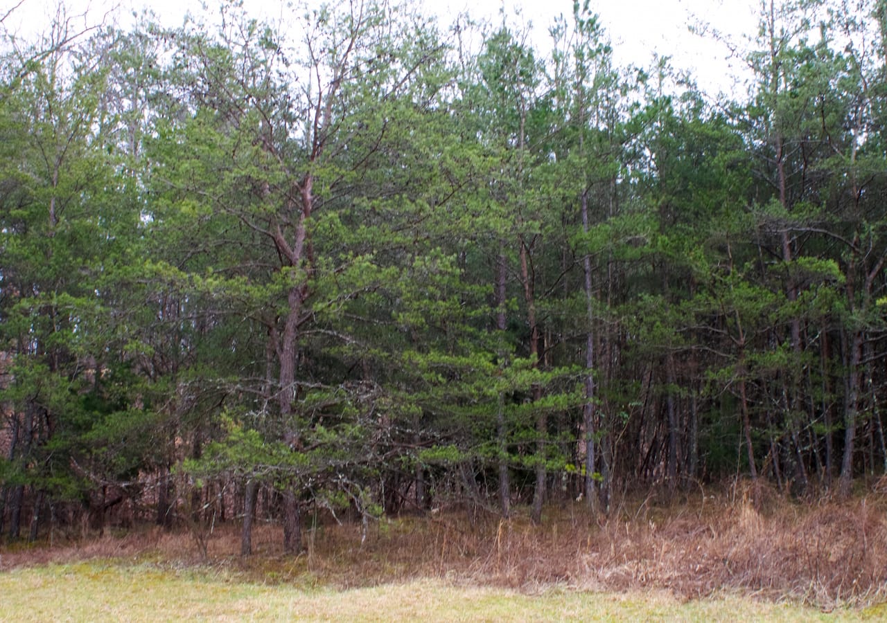 Majestic Rock Ranch Tract 9 photo 8