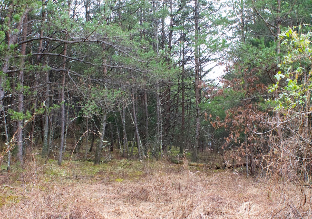 Majestic Rock Ranch Tract 9 photo 9