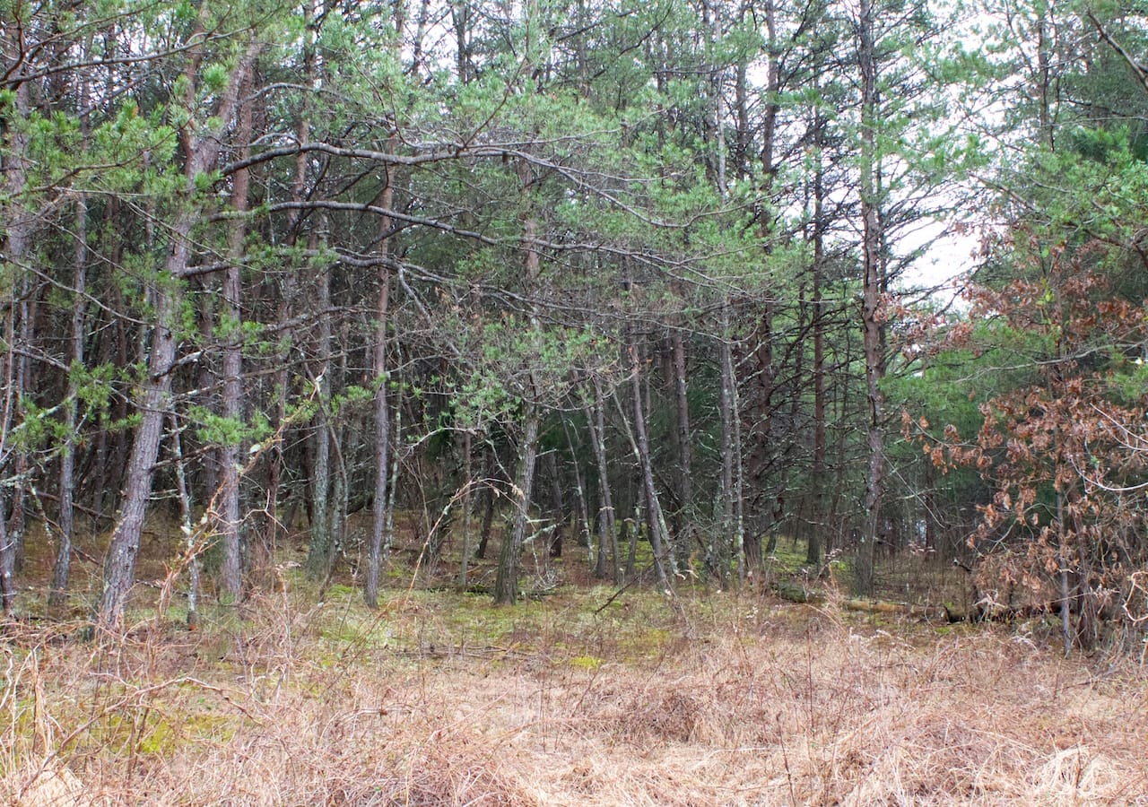 Majestic Rock Ranch Tract 9 photo 10