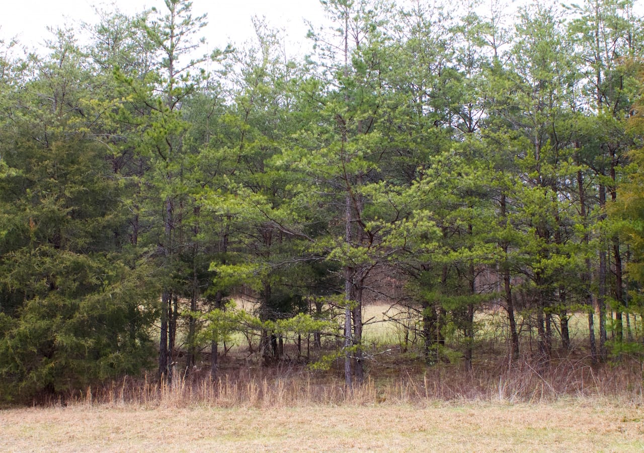 Majestic Rock Ranch Tract 9 photo 11