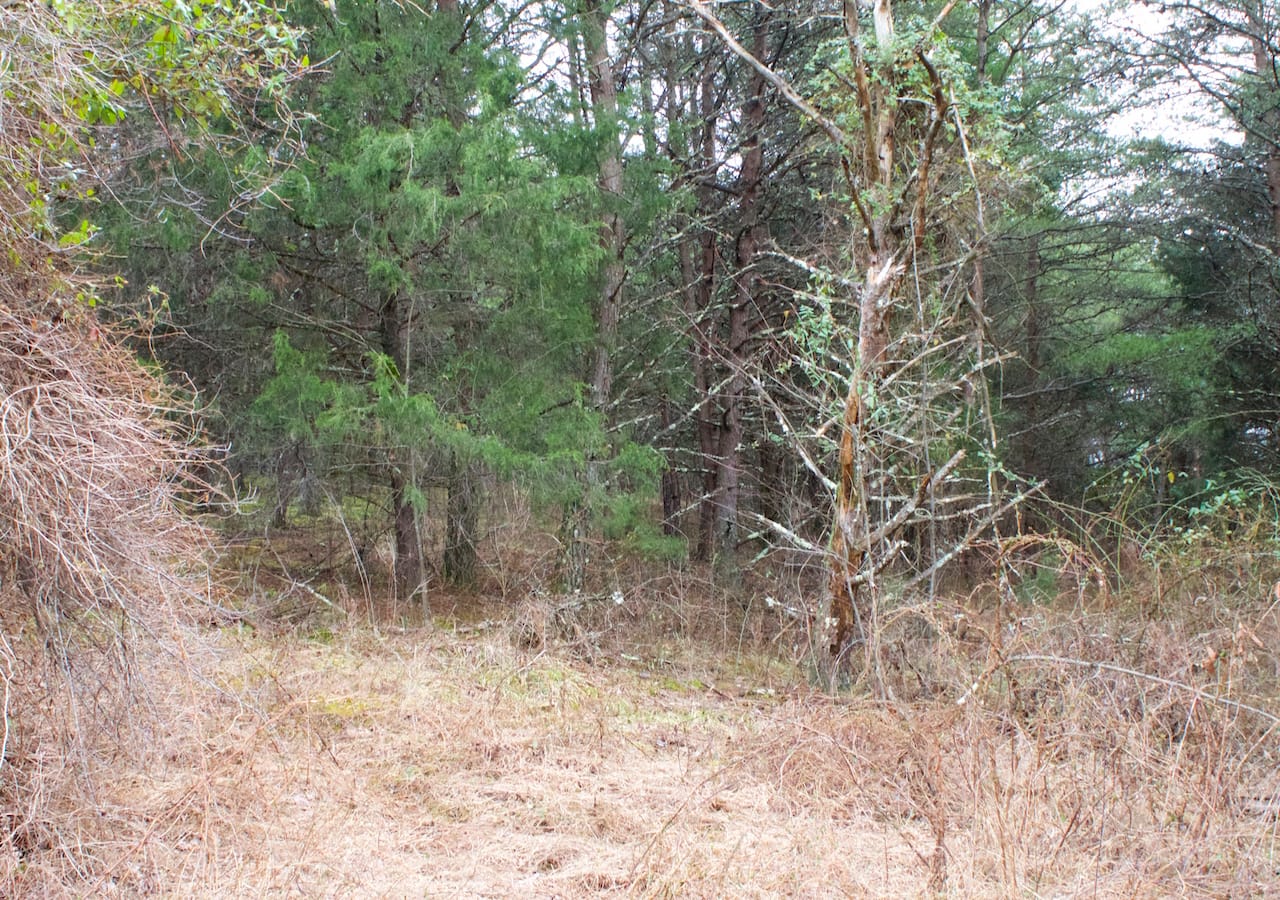 Majestic Rock Ranch Tract 9 photo 12