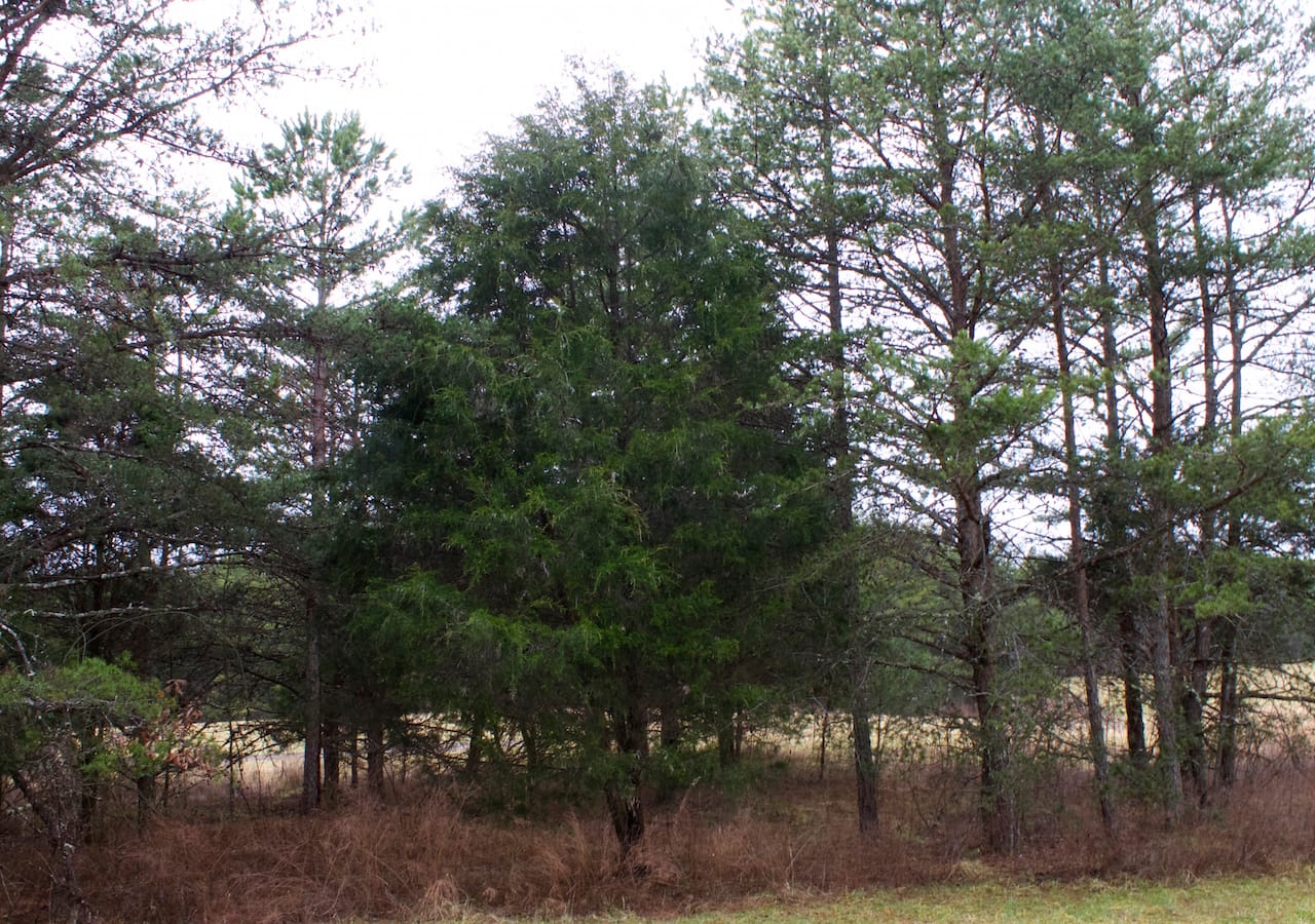 Majestic Rock Ranch Tract 9 photo 13