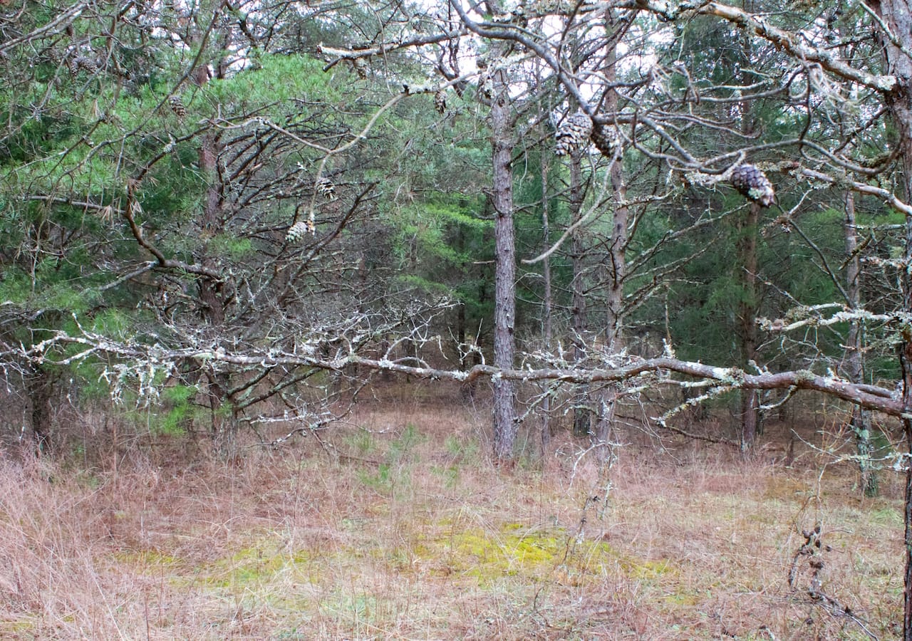 Majestic Rock Ranch Tract 9 photo 14