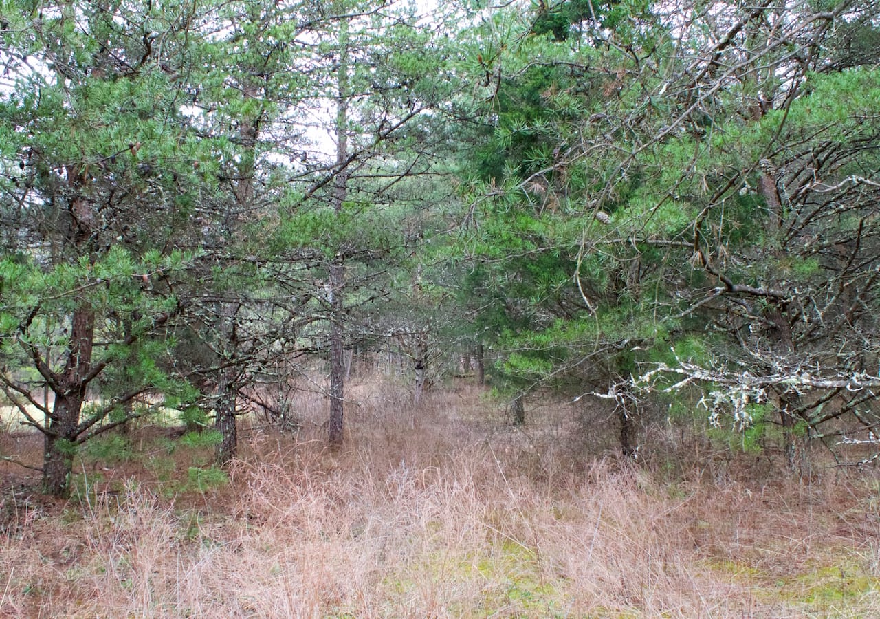 Majestic Rock Ranch Tract 9 photo 15