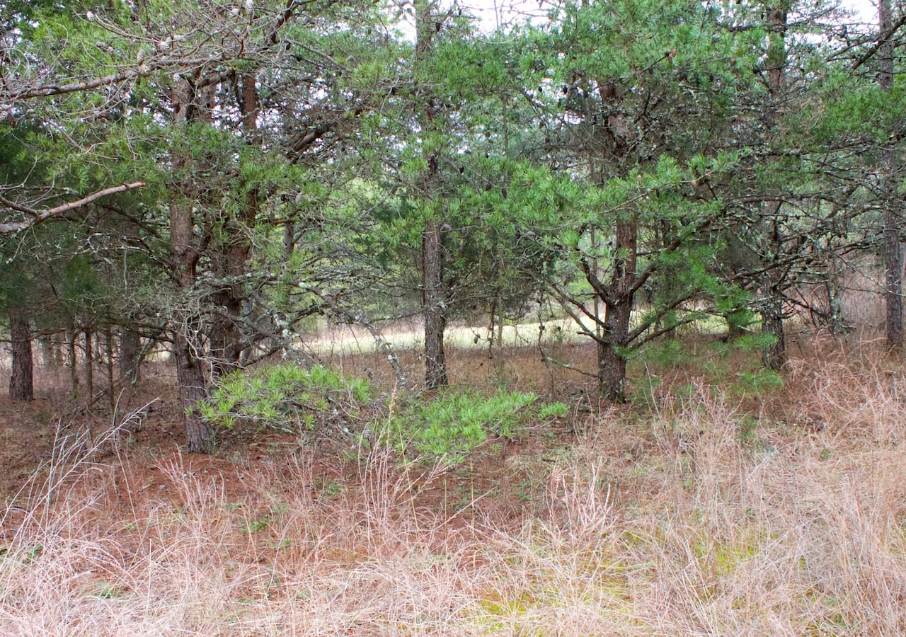 Majestic Rock Ranch Tract 9 photo 16