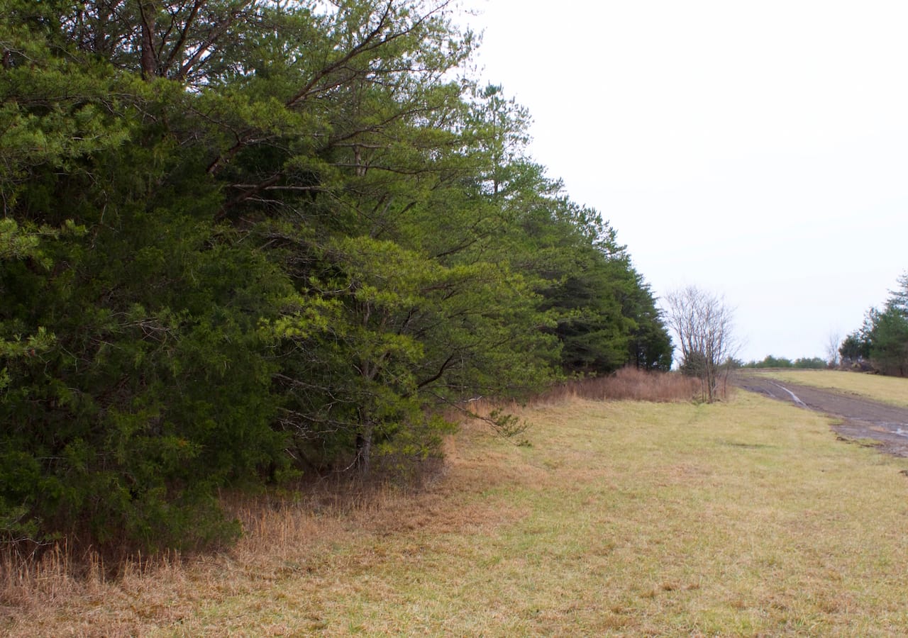 Majestic Rock Ranch Tract 9 photo 17