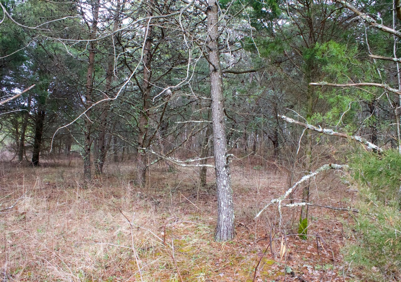 Majestic Rock Ranch Tract 9 photo 18