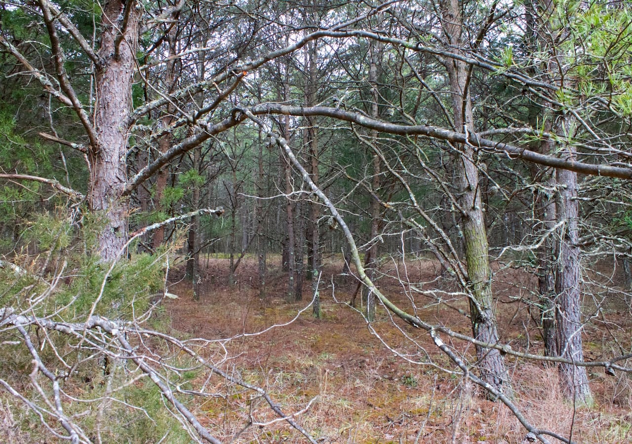 Majestic Rock Ranch Tract 9 photo 19