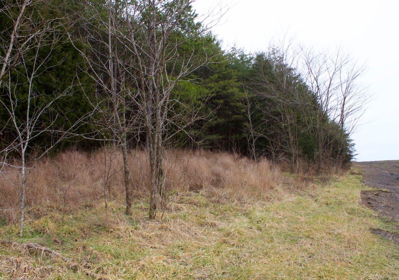 Majestic Rock Ranch Tract 9 photo 20