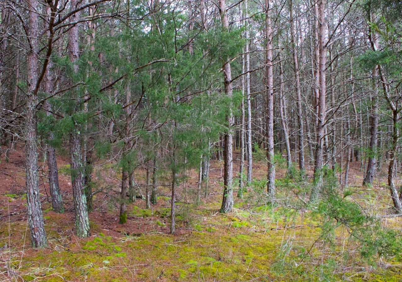 Majestic Rock Ranch Tract 9 photo 21