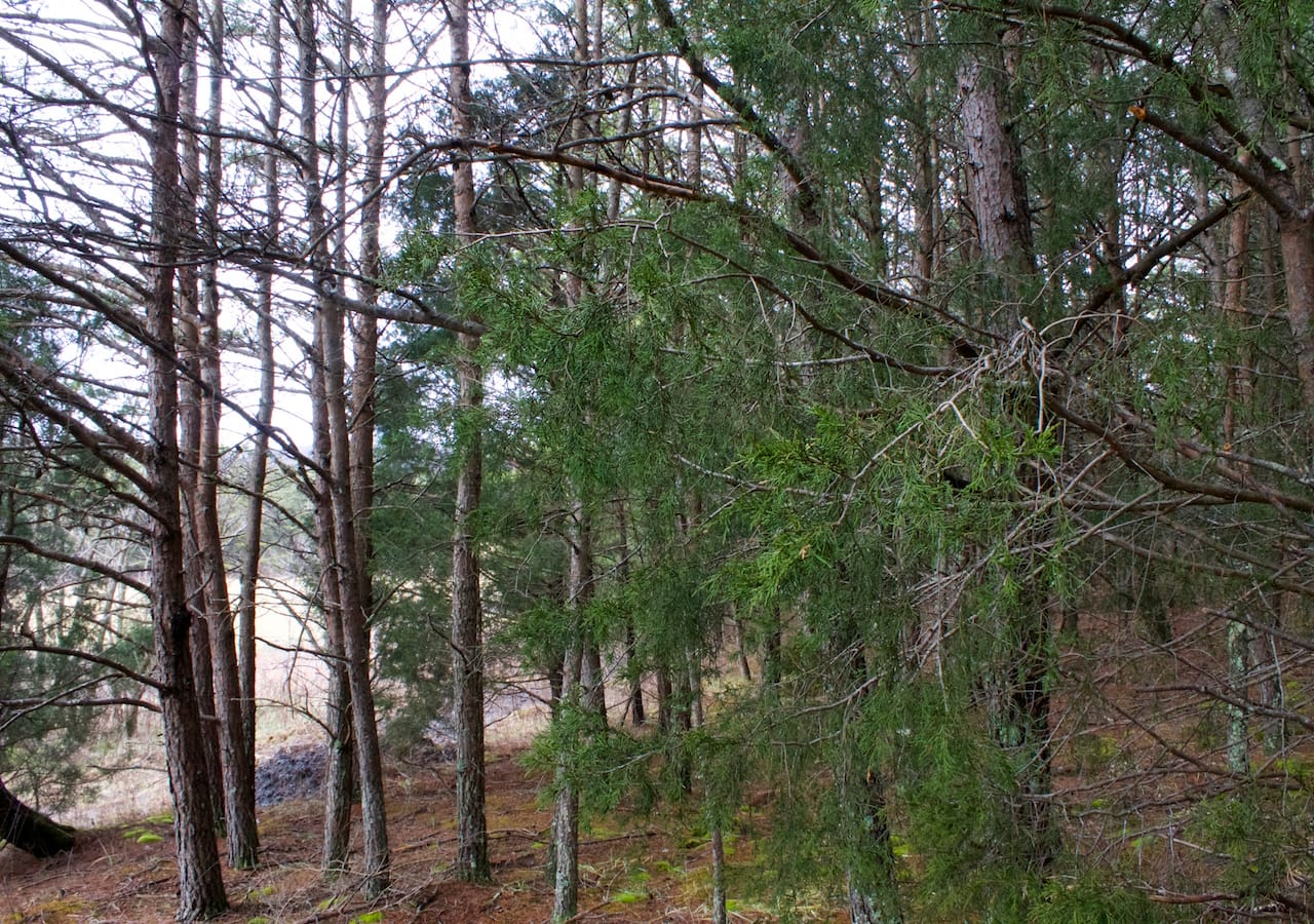 Majestic Rock Ranch Tract 9 photo 22