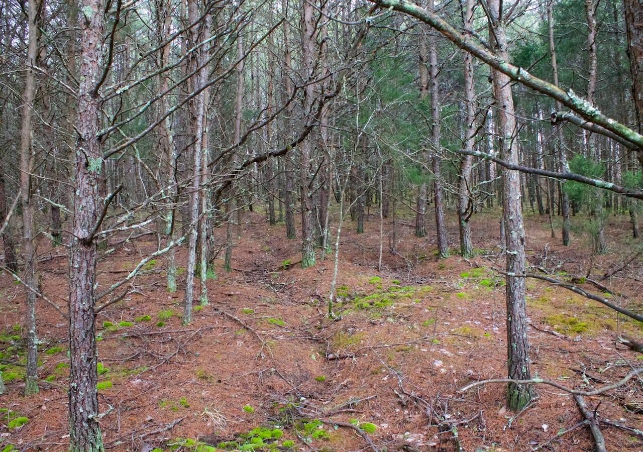 Majestic Rock Ranch Tract 9 photo 23