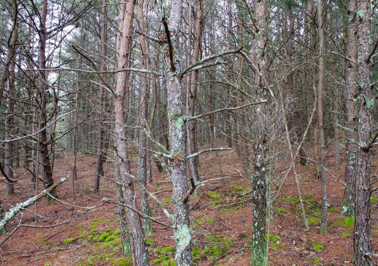 Majestic Rock Ranch Tract 9 photo 24