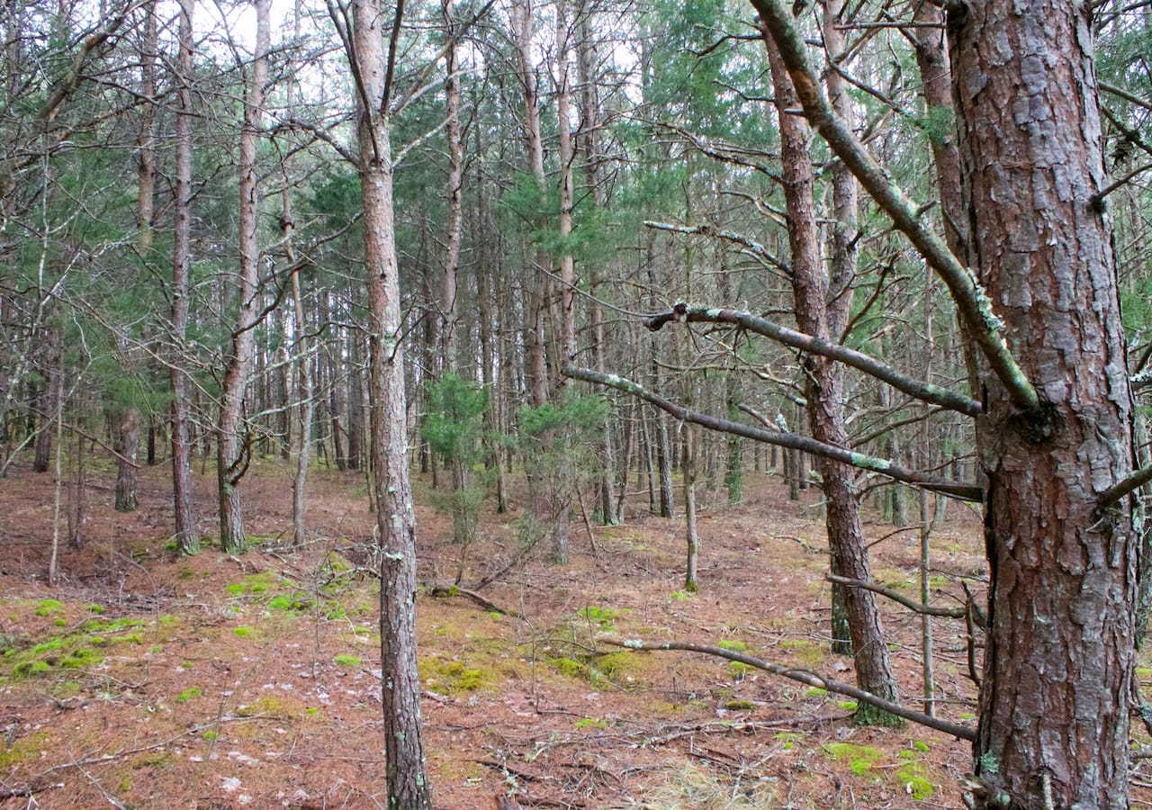 Majestic Rock Ranch Tract 9 photo 25