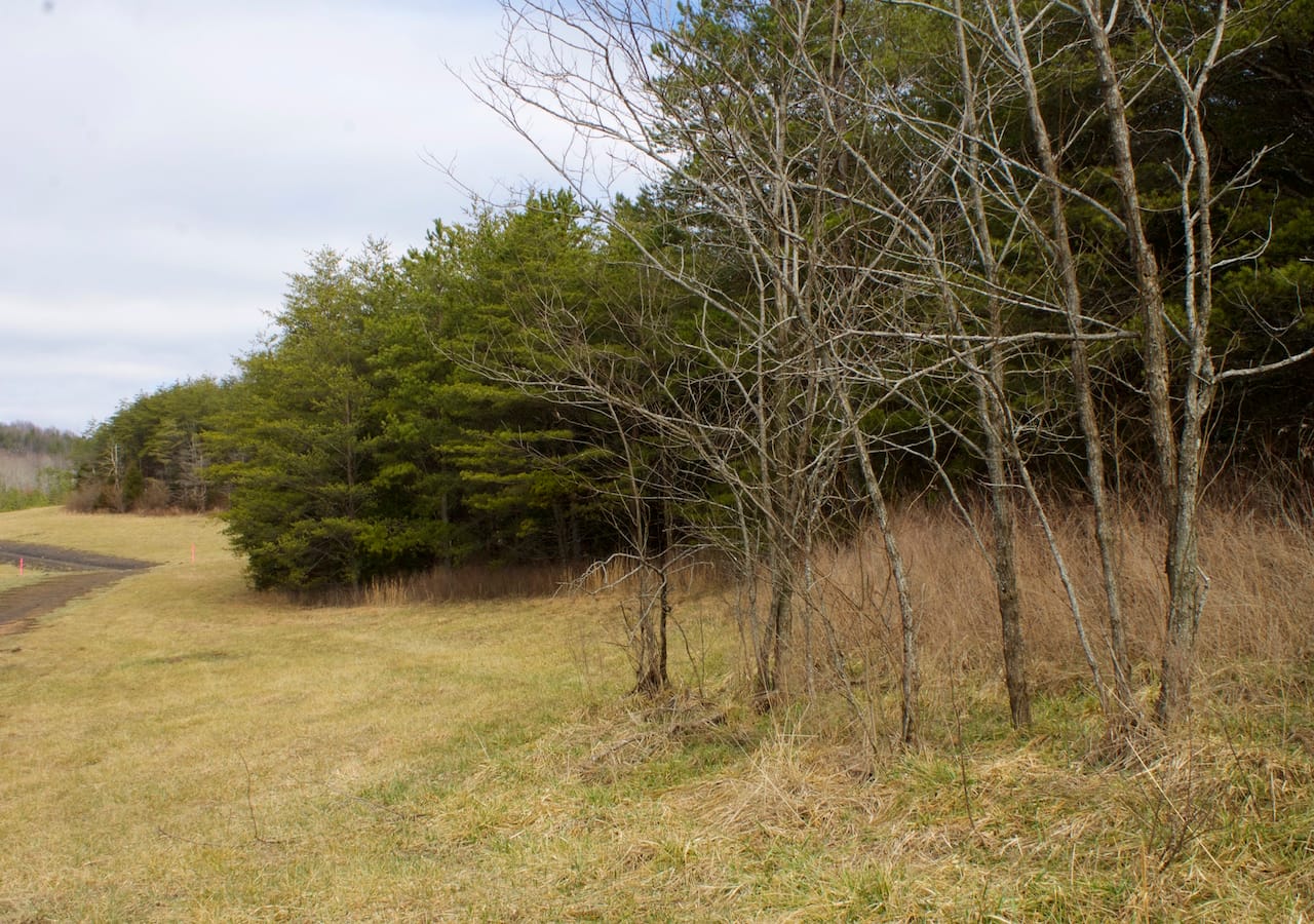 Majestic Rock Ranch Tract 9 photo 28