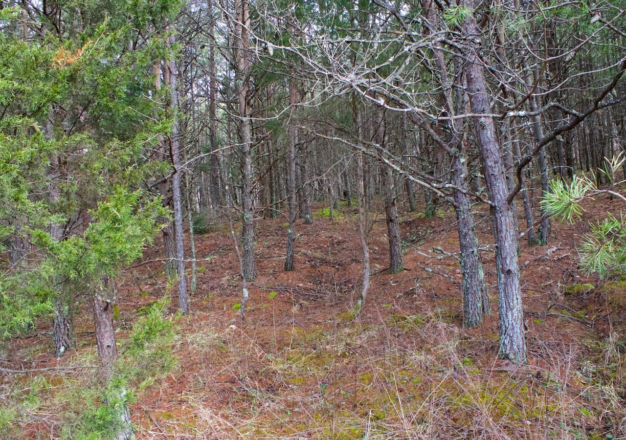 Majestic Rock Ranch Tract 9 photo 29