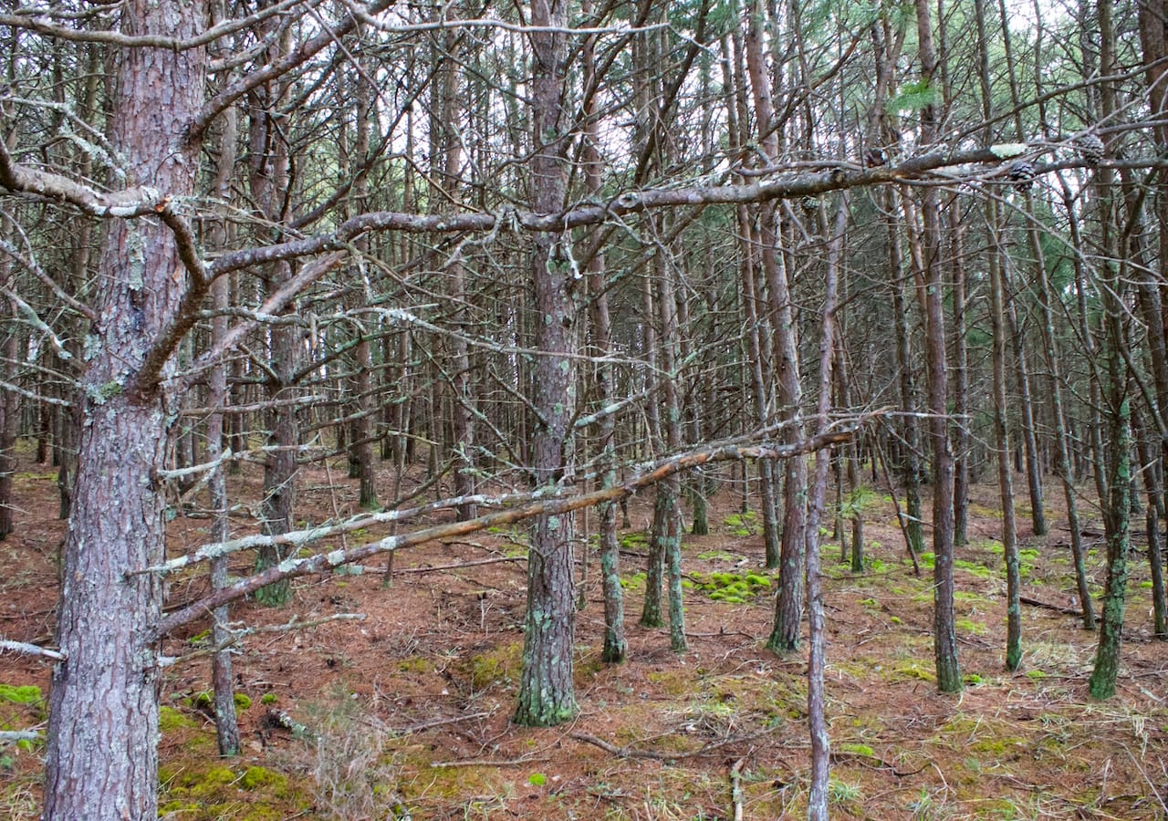 Majestic Rock Ranch Tract 9 photo 30