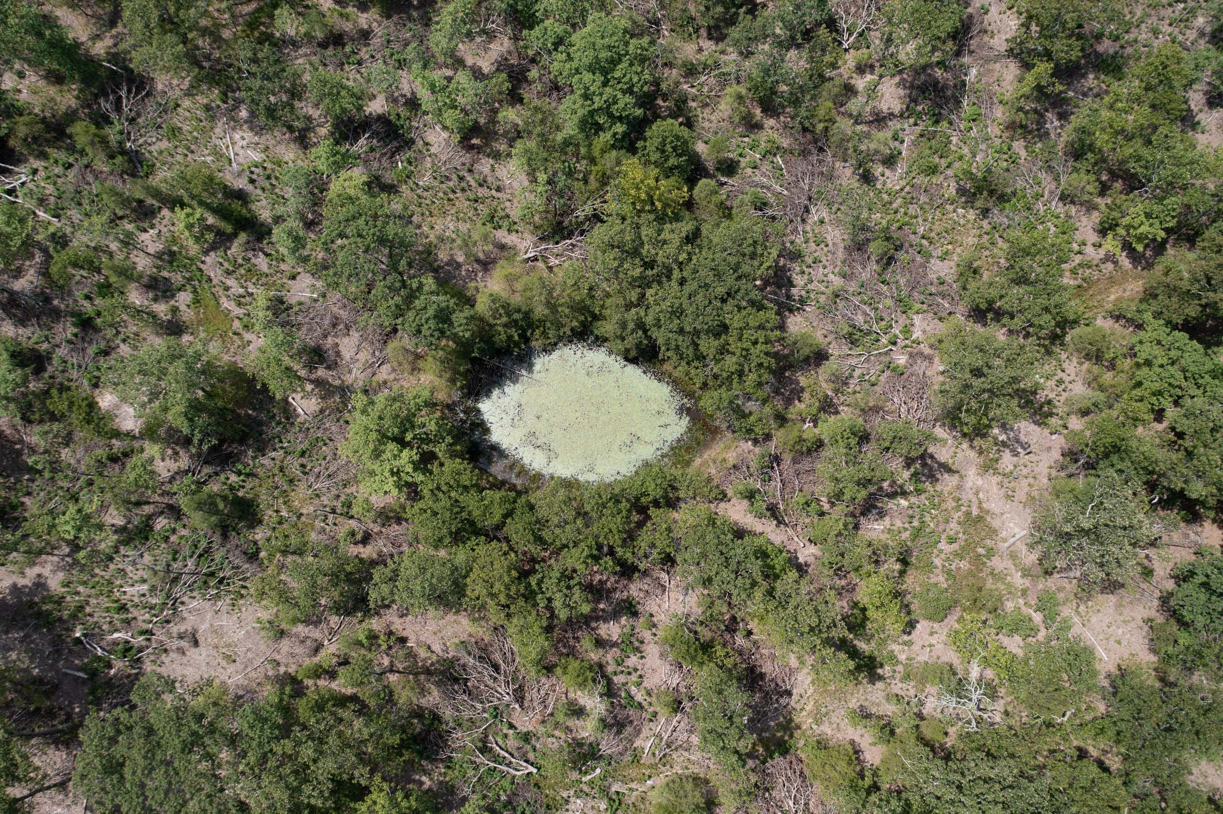Wildwood Tract 7 photo 2